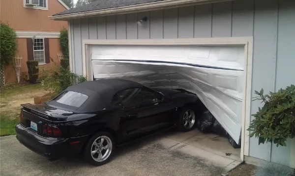 Garage Door Panel Replacement